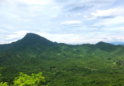 THẢ CÁ THỂ TRĂN VÀ RÙA QUÝ HIẾM VỀ MÔI TRƯỜNG TỰ NHIÊN TẠI RỪNG MỸ SƠN