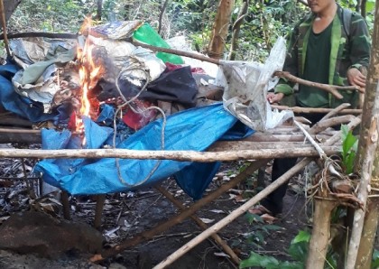 Phá hủy lán trại trái phép tại rừng đặc dụng Mỹ Sơn