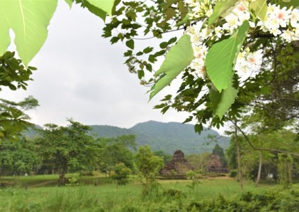 Mỹ Sơn những ngày vắng khách