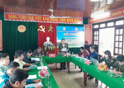 6 tháng cuối năm 2022, BQL DSVH Mỹ Sơn phối hợp  tổ chức 5 đợt tuần tra truy quét bảo vệ rừng