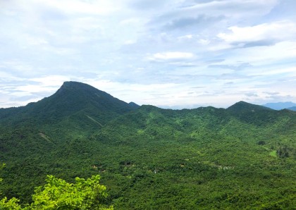 THẢ CÁ THỂ TRĂN VÀ RÙA QUÝ HIẾM VỀ MÔI TRƯỜNG TỰ NHIÊN TẠI RỪNG MỸ SƠN