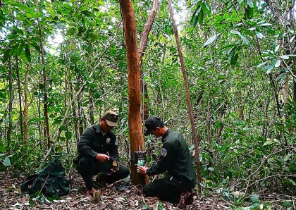 ỨNG DỤNG CÔNG NGHỆ BẪY ẢNH TRONG VIỆC GIÁM SÁT, NGHIÊN CỨU ĐA DẠNG SINH HỌC TẠI KHU BẢO VỆ CẢNH QUAN MỸ SƠN